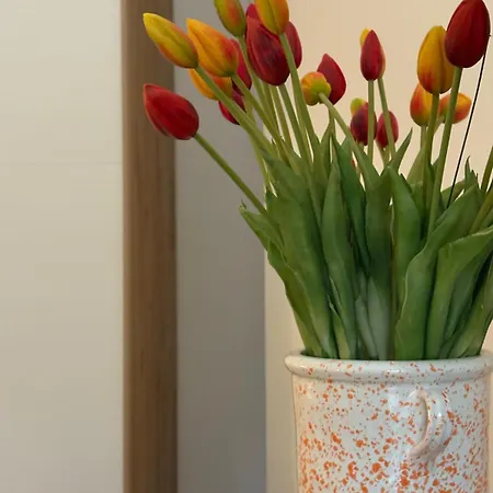 بيت للعطل Z'minunno *